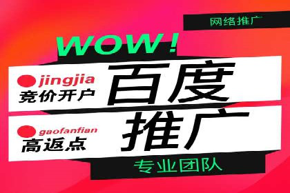 百度信息流广告在金融行业的应用案例